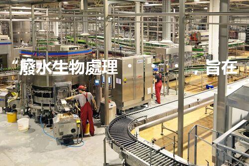 “廢水生物處理，旨在凈化水源，守護(hù)碧水藍(lán)天”